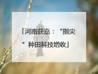 河南获嘉：“指尖”种田科技增收